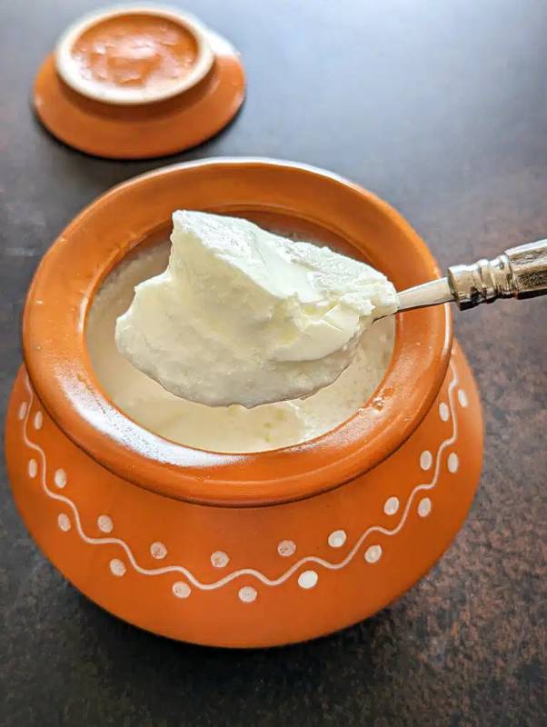 Curd 500gms at Vishwa Milk Products in Yendada, Mubarak Colony, Endada, Vizag