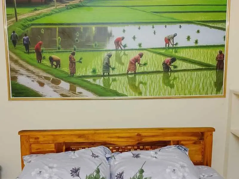 Creative Wallpapers Collection by Dasdecors in Seethammpeta, Visakhapatnam