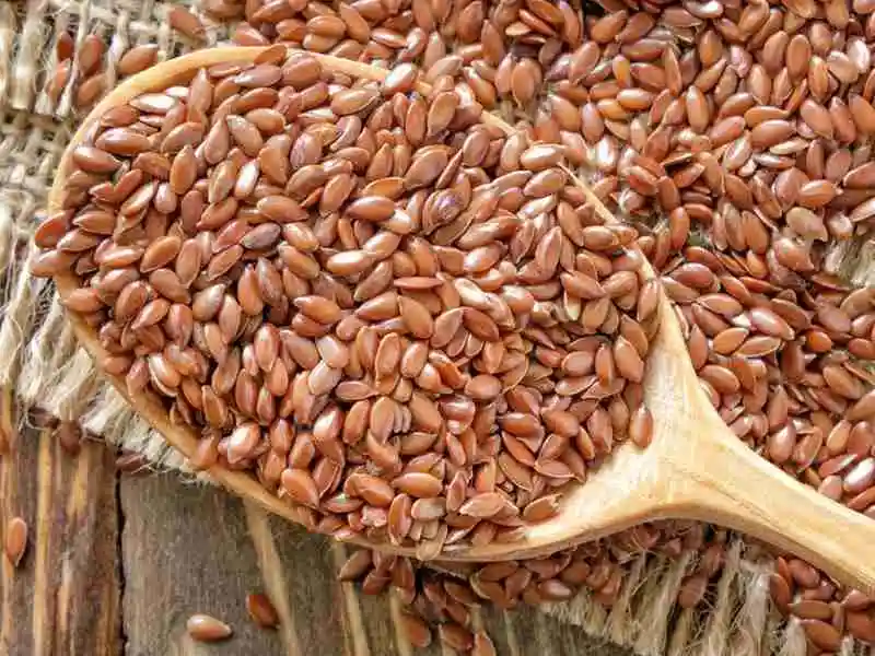 Flax Seeds at Sansitha Naturals  in Bakkannapalem