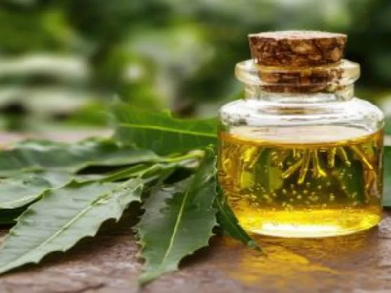 Neem Oil at Sansitha Naturals  in Bakkannapalem