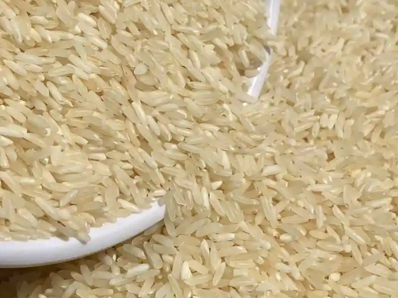 Rice RNR at Sansitha Naturals  in Bakkannapalem